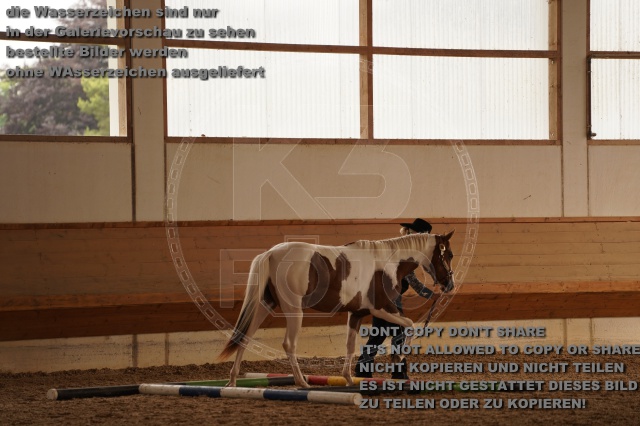 s_A_901254.JPG
